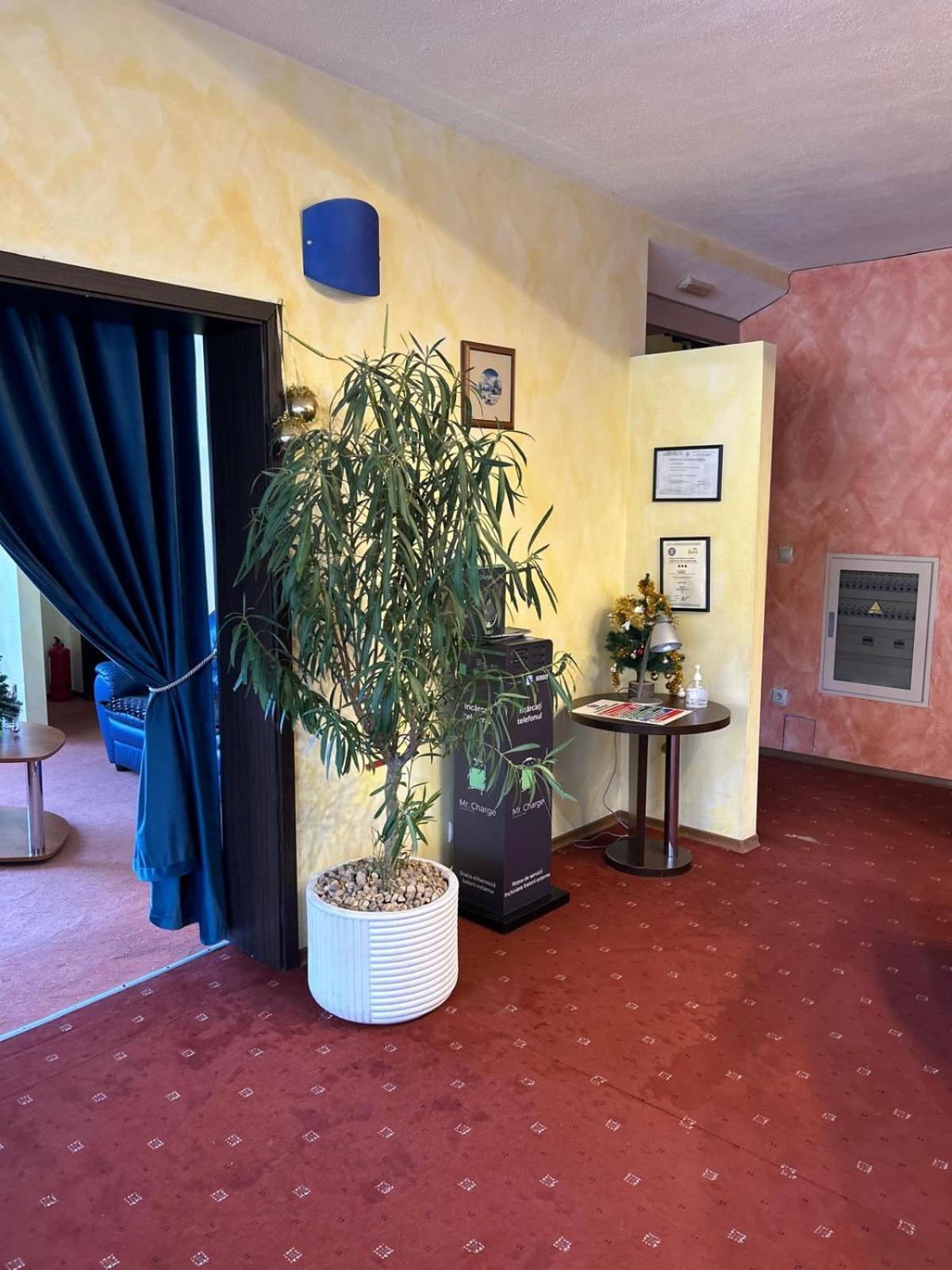 Vila Condor Poiana Brašov Exteriér fotografie